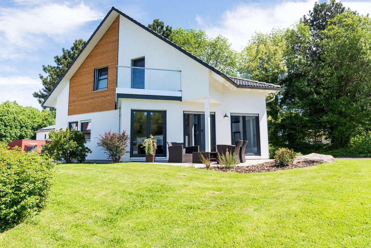 Wenn Bäume zu nahe an der Grundstücksgrenze stehen: Was Nachbarn verlangen dürfen