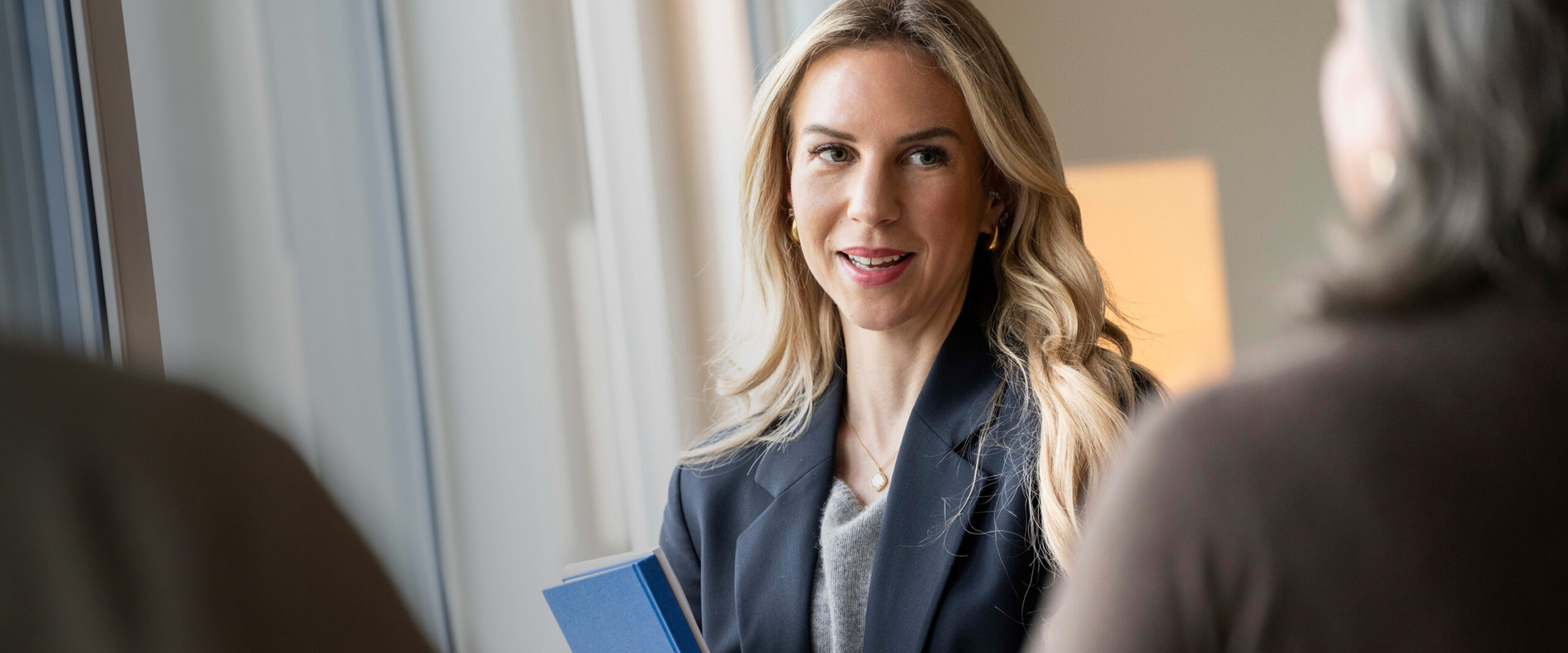 HEV-Website-Divider-1